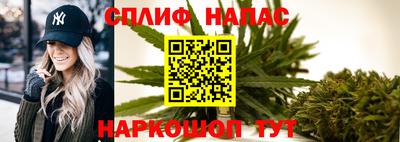 PSILOCYBIN Можга