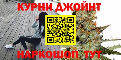 PSILOCYBIN Можга