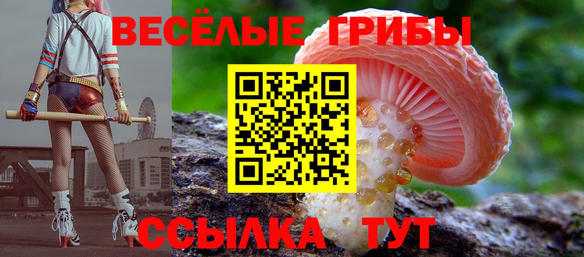 Псилоцибиновые грибы Cubensis  Псилоцибиновые грибы ЛСД  Вход с VPN  Усть-Илимск 